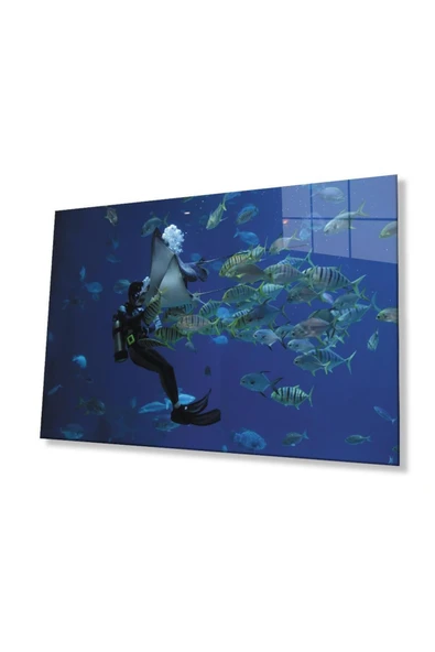 Dalgıç Balık Sualtı Cam Tablo 4mm Dayanıklı Temperli Cam Diver Fish Underwater Glass Wall Art ürün görseli 1