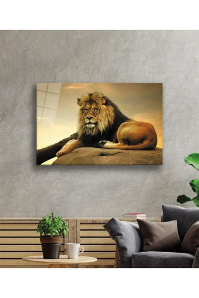 Aslan Cam Tablo 4mm Dayanıklı Temperli Cam - Resim 2