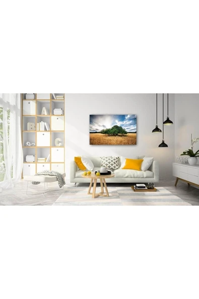 Doğa Cam Tablo 4mm Dayanıklı Temperli Cam - Resim 2