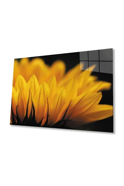 Ay Çiçeği Günebakan 4mm Dayanıklı Cam Tablo Temperli Cam , Sunflower Glass Wall Art ürün görseli 1