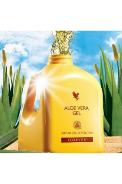 aloe agave Agave Blue Flame: A Blazing Desert Beauty Succulent  Bonte Farm