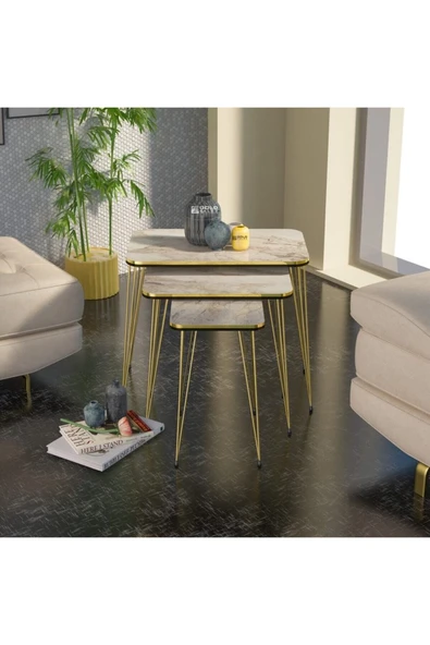 Zigon Sehpa Kr Çift Gold Efes Tel - Resim 4