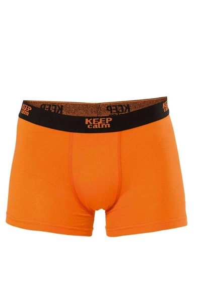 Anıt 1266 Modal Boxer - Resim 8