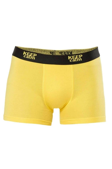 Anıt 1266 Modal Boxer - Resim 7