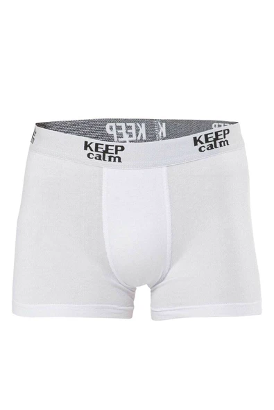 Anıt 1266 Modal Boxer - Resim 2