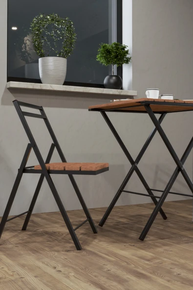 Retodesign 2 Adet Ege Katlanır Sandalye , Bistro Sandalye 21262 - Resim 4
