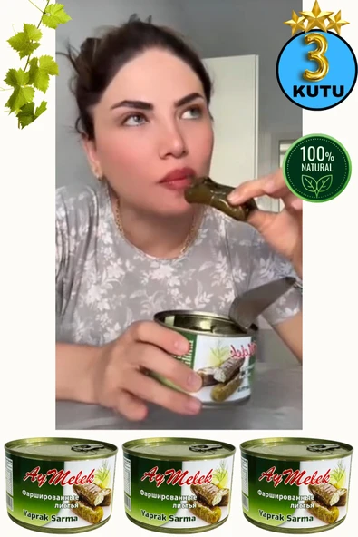 Yaprak Sarma (3 KUTU) Yerli Üretim 400 gr Doğal Besin Deposu Hazır Yemek ürün görseli 1