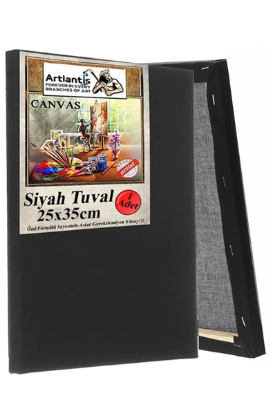Siyah Tuval 25x35 cm 1 Adet Astarlı Kare Tuval Resim Tuvali Siyah 25*35 cm Tual  Akrilik Yağlı Boya İçin İdeal ürün görseli 1