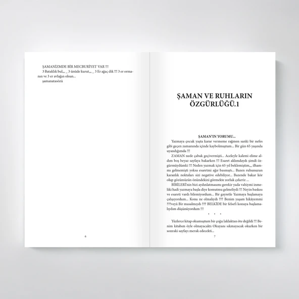 Şaman ve Ruhların Özgürlüğü - Resim 4