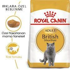 Royal Canin British Shorthair Adult 2 Kg ürün görseli 1