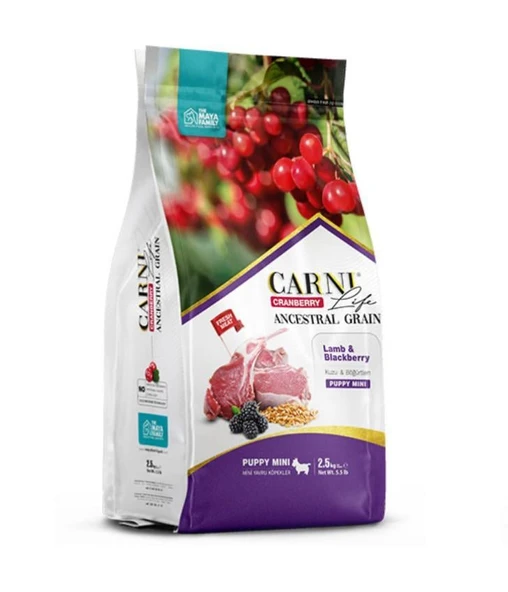 Carni Life Kızılcık Kuzu Etli ve Böğürtlenli Küçük Irk Yavru Köpek Maması (2,5 kg) ürün görseli 1