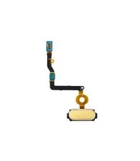 Samsung C7 Home Tuş Flex Gold ürün görseli 1
