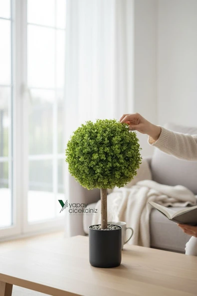 Siyah Renkli Saksıda Yoğun Yapraklı 65 Cm Yapay Top Şimşir Ağacı 35x35 ürün görseli 1