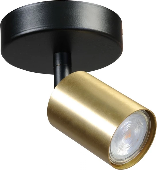 Rsylight Retro Siyah Eskitme Led spot Tavan Plofyoner  Aplik180 Derece Hareketli Günışığı Ampullü ürün görseli 1