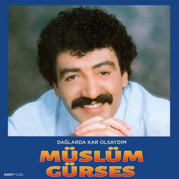 Müslüm Gürses Dağlarda Kar Olsaydım - Plak ürün görseli 1