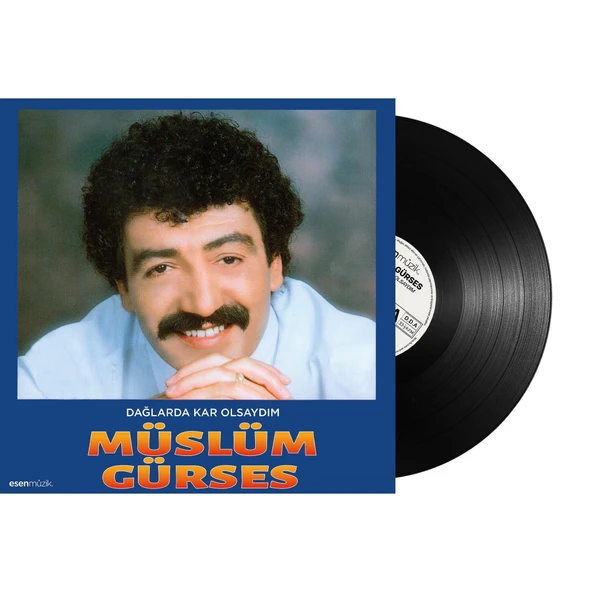 Müslüm Gürses Dağlarda Kar Olsaydım - Plak - Resim 3