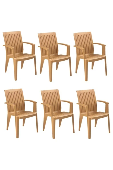 Papatya Alize Koltuk Teak 6lı Paket - Plastik Bahçe Balkon Koltuğu ürün görseli 1