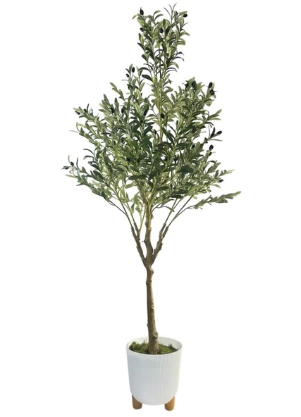 Yapay Zeytin Ağacı 185cm Doğal Görünümlü Yapay Ağaç Beyaz 25cm Zigon Saksıda ürün görseli 1