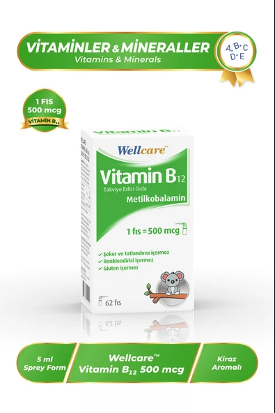 Wellcare Vitamin B12 500 mcg Sprey 5 ml ürün görseli 1