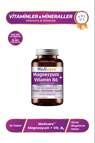 Wellcare Magnezyum + Vitamin B6 30 Tablet ürün görseli 1
