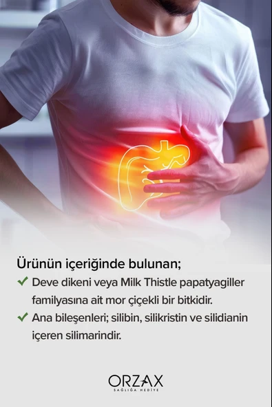 Ocean Milk Thistle 30 Tablet - Resim 4