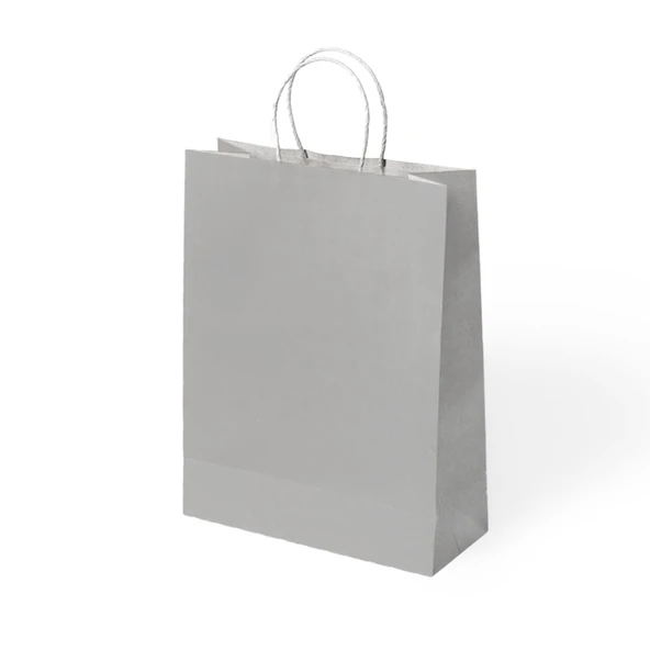 Büküm Saplı Gümüş Kraft Kağıt Çanta 25x31x12 cm Pakette 24 Ad ürün görseli 1