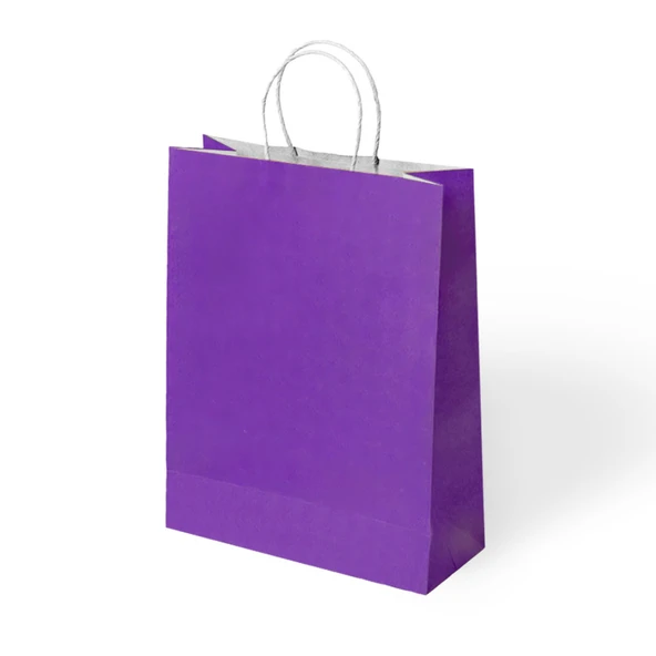Büküm Saplı Kraft Kağıt Çanta25x31x12 cm Pakette 24 Ad ürün görseli 1