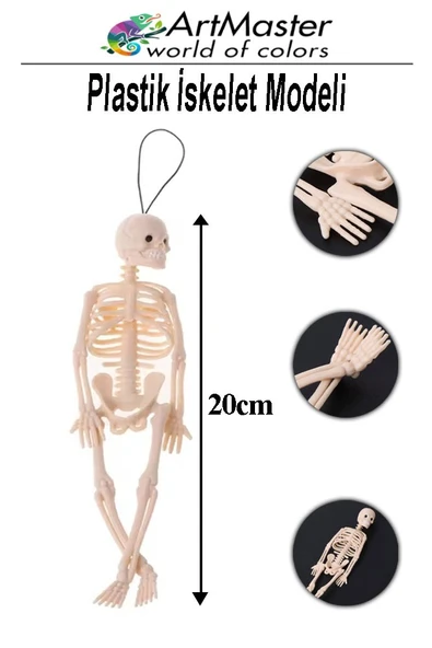 İskelet Modeli Plastik 20 cm 1 Adet Silikon İnsan İskeleti Plastik İsket Modeli Silikon İskelet Deneyi Araba Süsü ürün görseli 1