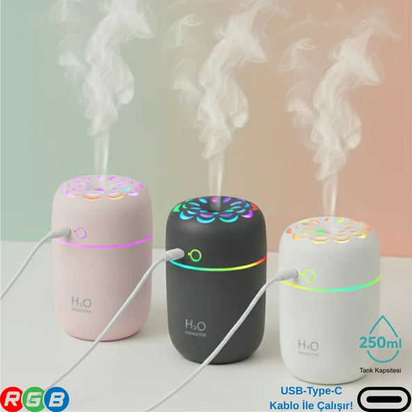 250ML RGB Işıklı Süper Sessiz Type-C Mini Hava Nemlendirici & Aroma Difüzör ürün görseli 1