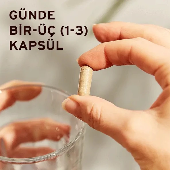Solgar Milk Thistle 100 mg 50 Kapsül - Resim 3