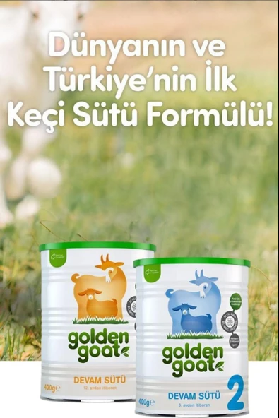 Golden Goat 3 Devam Keçi Sütü 400 gr 6 Adet - Resim 3
