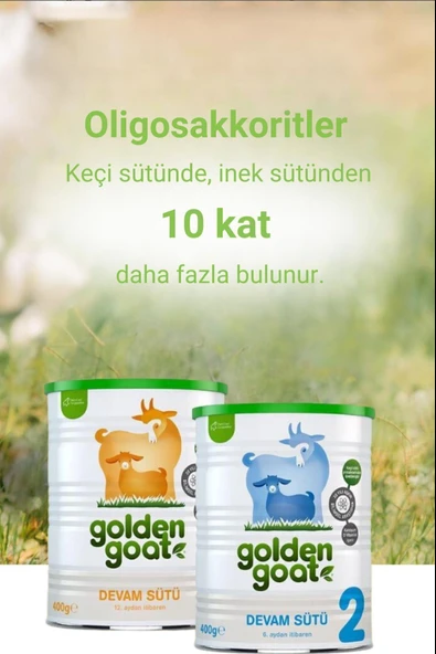Golden Goat 3 Devam Keçi Sütü 400 gr 6 Adet - Resim 4