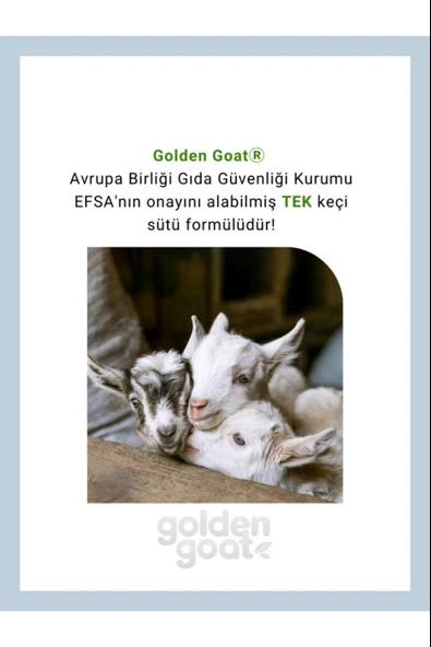 Golden Goat 3 Devam Keçi Sütü 400 gr 4 Adet - Resim 2
