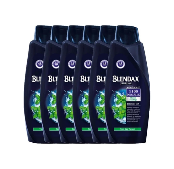 Blendax Erkek Mentol Ferahlığı Şampuan 6 x 500 ML ürün görseli 1