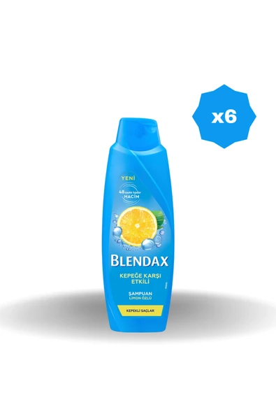 Blendax KEPEĞE KARŞI ETKİLİ ŞAMPUAN 500 ML X 6 ADET ürün görseli 1