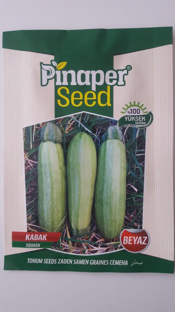 Kabak Beyaz Tohumu 1 Paket %100 Yüksek Verimlidir. ürün görseli 1