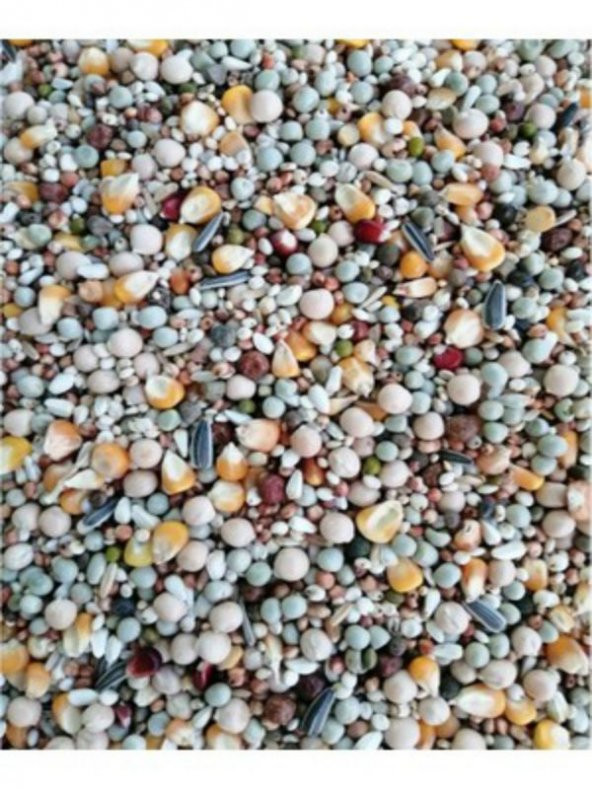 Güvercin Yemi 3 Kg ürün görseli 1