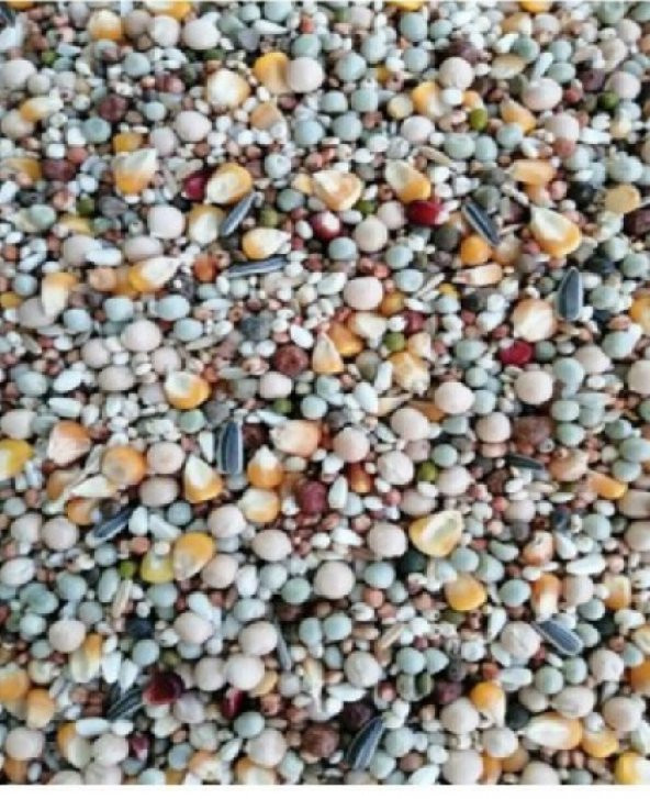 Güvercin Yemi 5 Kg ürün görseli 1