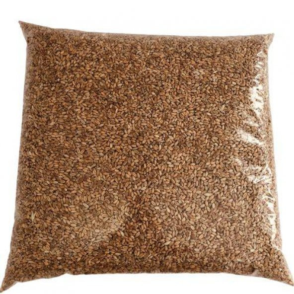 Yemlik Tane Buğday 5 Kg güvercin Yemi ürün görseli 1
