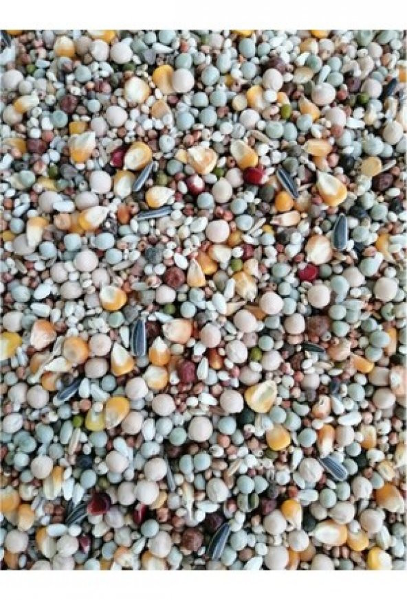 Güvercin Yemi 3 Kg ürün görseli 1