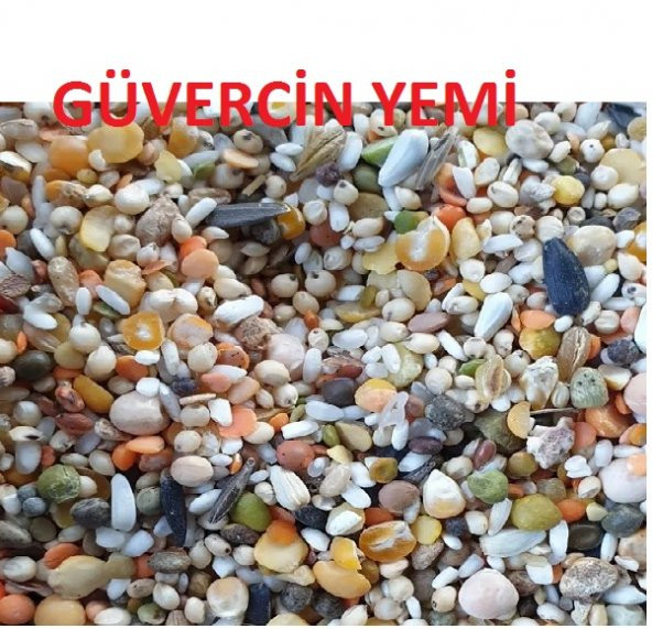 Güvercin Yemi 3 Kg - Resim 2