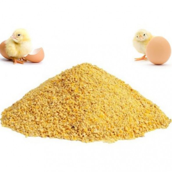 Civciv Büyütme Yemi Toz 2 Kg tavuk Ördek kaz Bıldırcın Tüm Kanatlılar Için Civciv Yemi 2 Kg ürün görseli 1