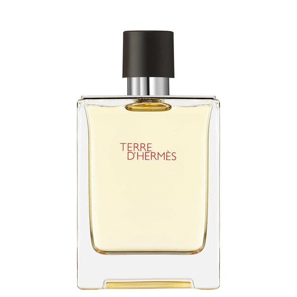Hermes Terre D'Hermes 100 ml Edt ürün görseli 1