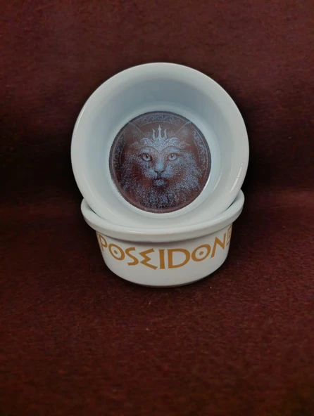 Raccoon Olimpos Serisi Poseidon Seramik Mama Ve Su Kabı 300ml ürün görseli 1