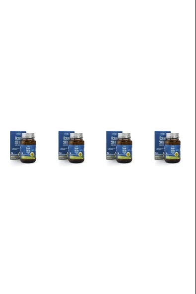 Ocean Balık Yağı 500mg 60 Kapsül 4 Adet ürün görseli 1