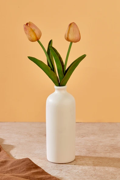 Akkoyunlu home Testi Model Dekoratif Pinterest Vazo Seramik Şık Dekorasyon Çiçeklik Vazo(Beyaz-18cm) ürün görseli 1
