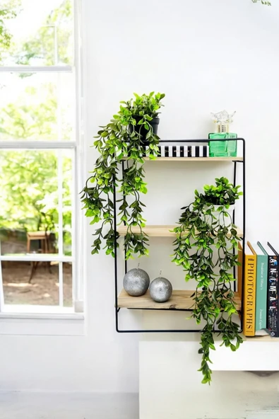 Sezka Life 2'li Saksıda Yapay Sarmaşık Çiçek(32 cm) ürün görseli 1
