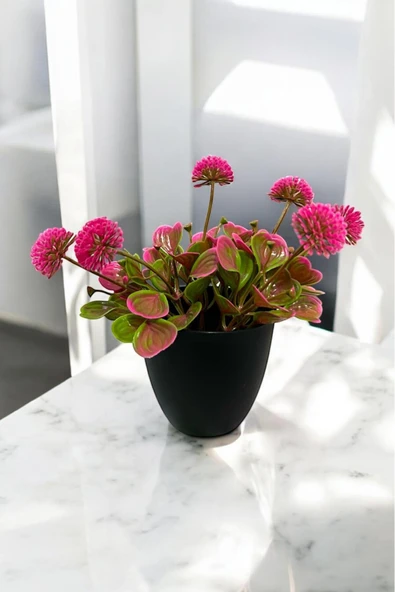 Akkoyunlu home Pembe Tomurcuk Çiçeği Yapay Çiçek Saksı ürün görseli 1