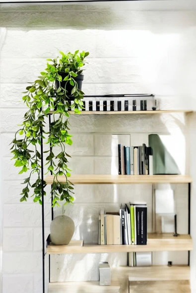 Akkoyunlu home Saksıda Yapay Sarmaşık Çiçek(32 cm) ürün görseli 1