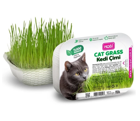 Hobi Fileli Kedi Çimi Cat Grass Ekonomik - Sindirim Dostu ve Eğlenceli Aktivite ürün görseli 1